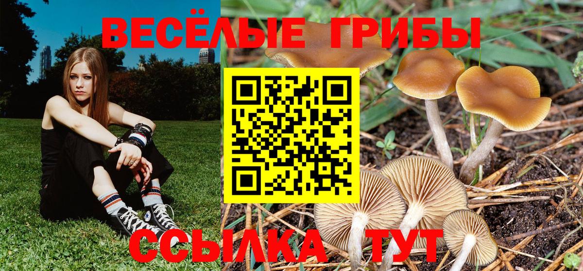 Муром  закладки  Вход с VPN  Псилоцибиновые грибы Cubensis  Галлюциногенные грибы Psilocybine cubensis 